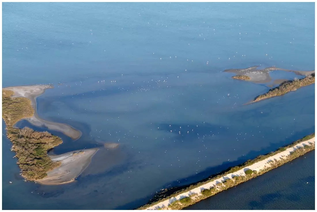 Camargue Aigues-Mortes 10