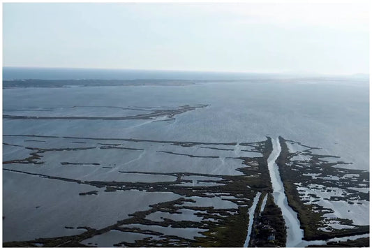 Camargue Aigues-Mortes 6