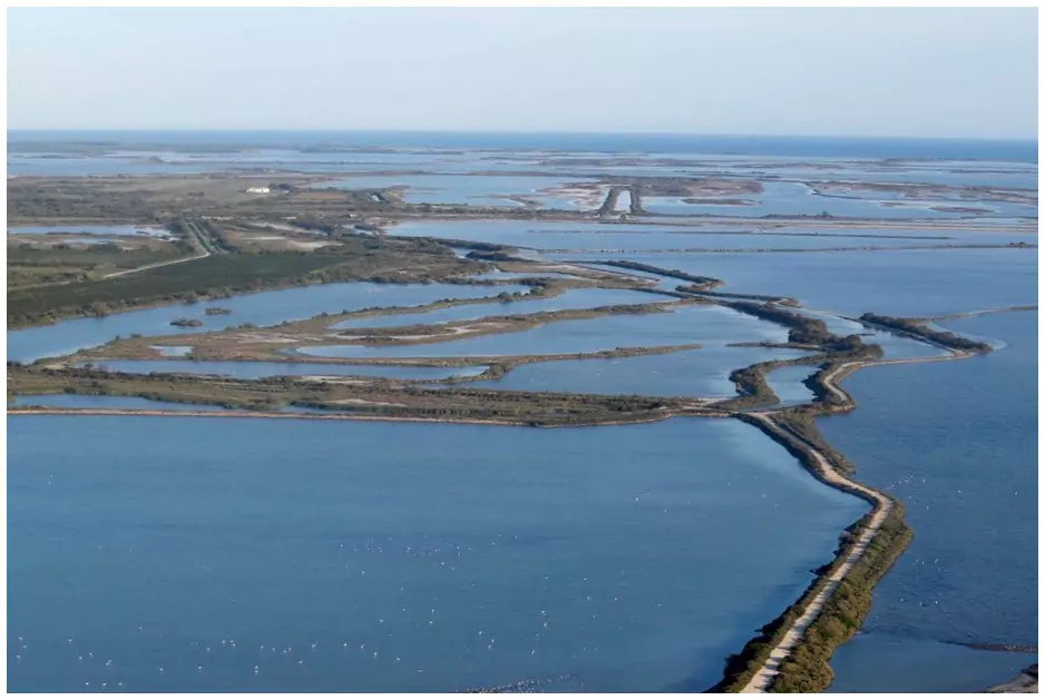 Camargue Aigues-Mortes 7